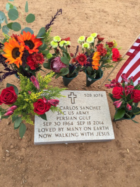 Remembering Carlos on Veterans Day 2014